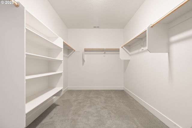 2901 NW 114th Ter, Portland, OR 97229 - spacious closet with carpet flooring