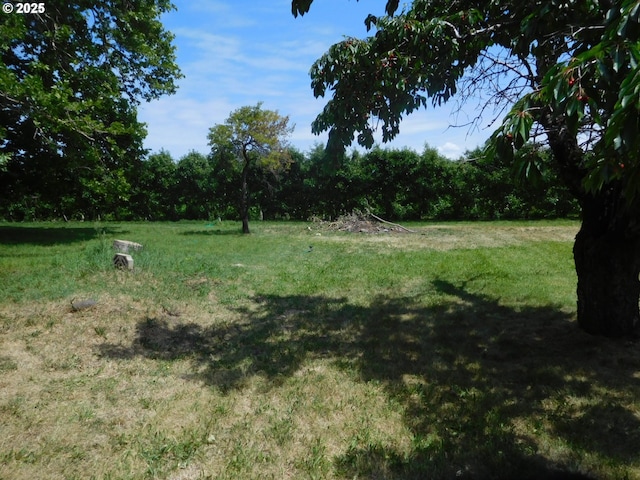 84105 Winesap Rd, Milton-Freewater, OR 97862 - view of grassy yard