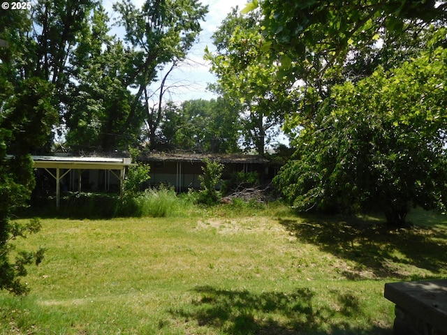 84105 Winesap Rd, Milton-Freewater, OR 97862 - view of green lawn