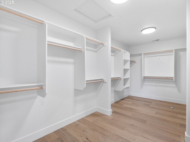 walk in closet with light wood-type flooring