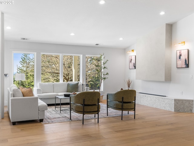 living room with light wood-type flooring and a wealth of natural light