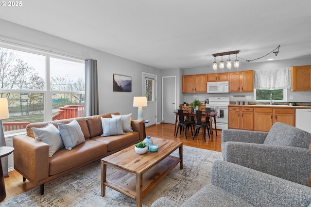 living room featuring sink and light hardwood / wood-style flooring