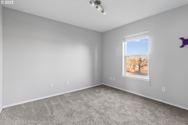 spare room featuring track lighting and carpet flooring