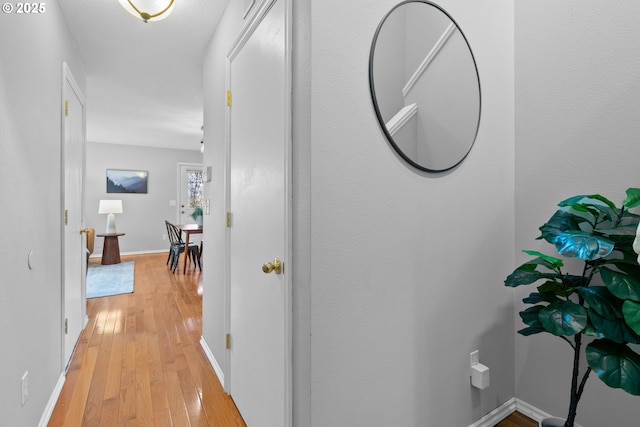 hallway featuring light wood-type flooring