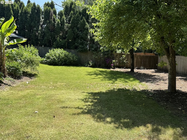 2420 Margery St, West Linn, OR 97068 - view of yard