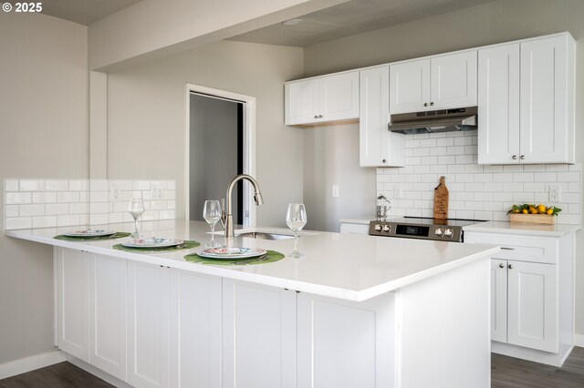 kitchen featuring white cabinets, under cabinet range hood, light countertops, and a sink