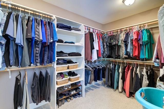 12919 NE 37th Ct, Vancouver, WA 98686 - walk in closet featuring carpet floors
