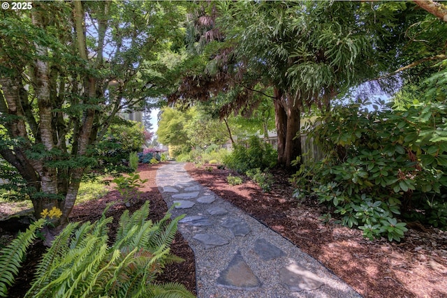 12919 NE 37th Ct, Vancouver, WA 98686 - view of yard