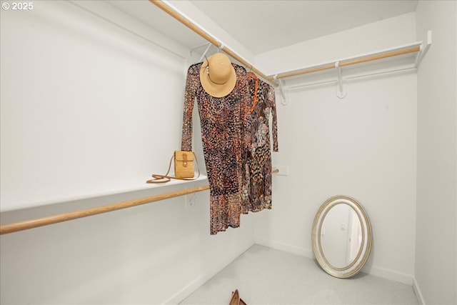 4891 NW Blandy Ter, Portland, OR 97229 - spacious closet with carpet flooring