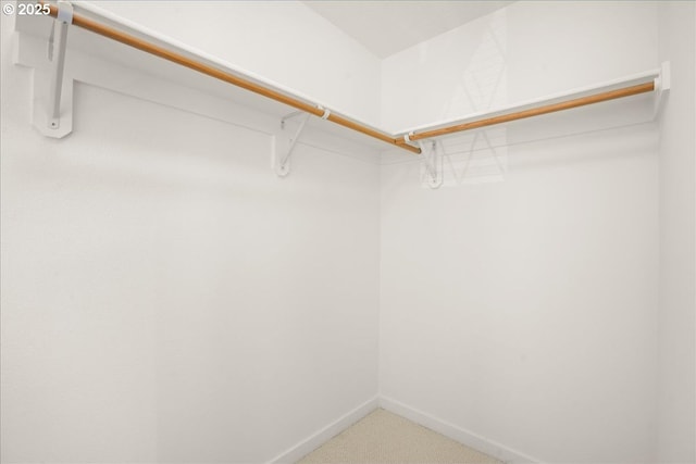 4891 NW Blandy Ter, Portland, OR 97229 - walk in closet featuring carpet flooring