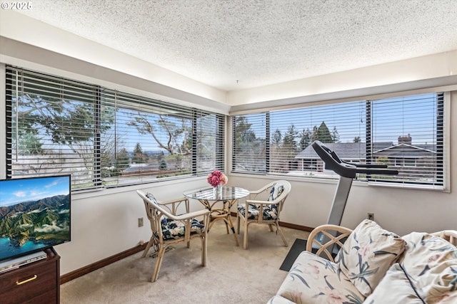 interior space with light colored carpet, plenty of natural light, and a textured ceiling