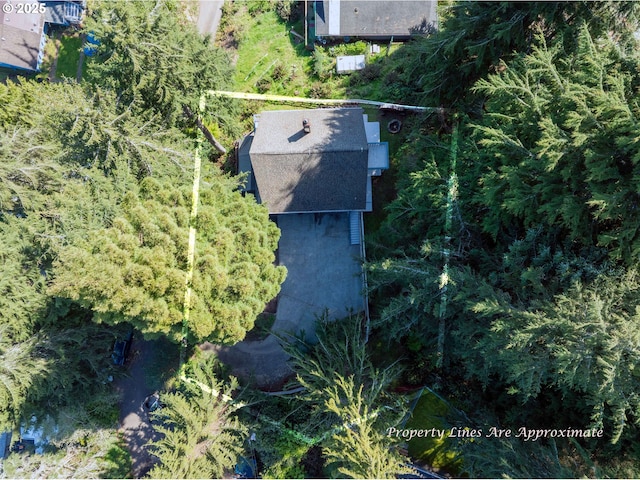 drone / aerial view