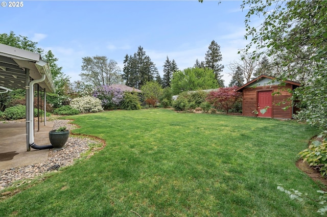 view of yard with a storage shed, a patio, and an outbuilding