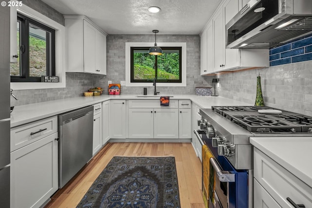 19919 SE Borges Rd, Damascus, OR 97089 - kitchen with stainless steel appliances, a sink, plenty of natural light, light wood-type flooring, and a textured ceiling