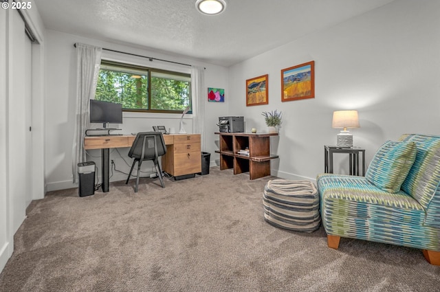 19919 SE Borges Rd, Damascus, OR 97089 - carpeted home office with baseboards and a textured ceiling