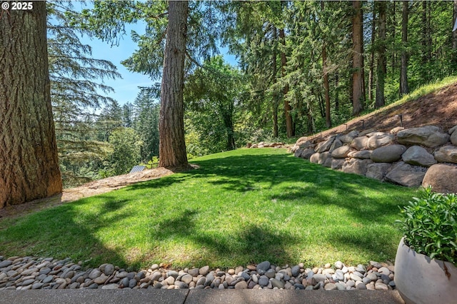 19919 SE Borges Rd, Damascus, OR 97089 - view of grassy yard