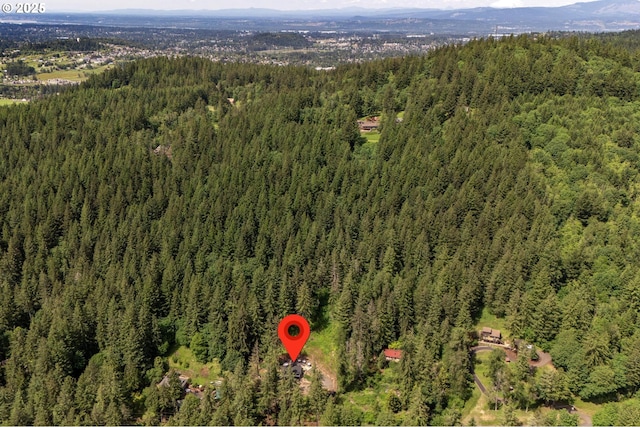 19919 SE Borges Rd, Damascus, OR 97089 - aerial overview of property's location with a forest and a mountain backdrop