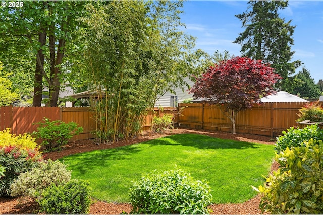 view of yard featuring a fenced backyard