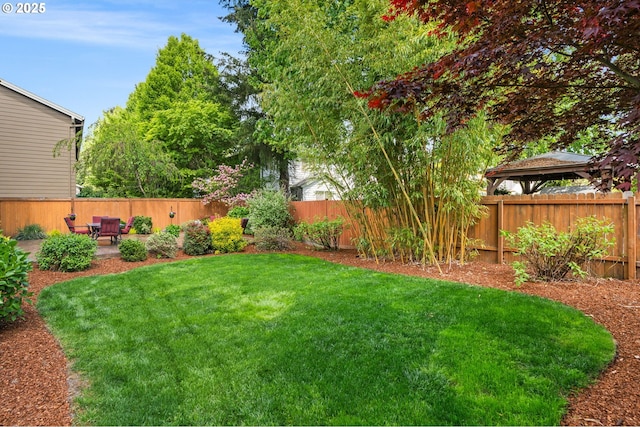 view of yard with a fenced backyard and a patio