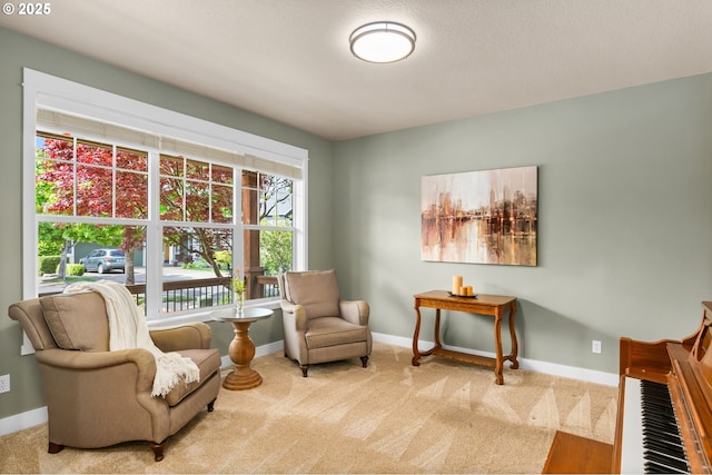 living area featuring baseboards and carpet