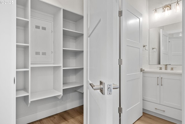 spacious closet featuring light hardwood / wood-style floors and sink