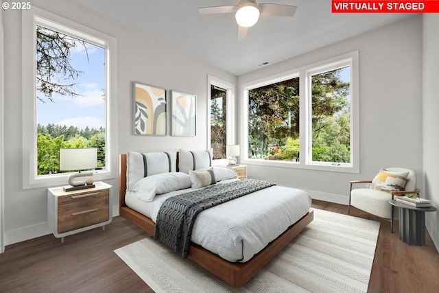 bedroom with multiple windows, ceiling fan, and dark hardwood / wood-style flooring