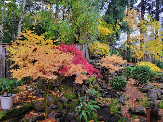 14079 SE Alta Vista Dr, Happy Valley, OR 97086 - view of yard with fence
