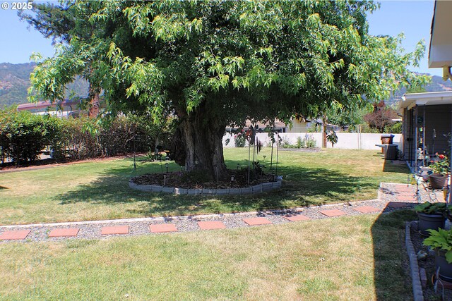 131 Mountain View Ave, Myrtle Creek, OR 97457 - view of yard
