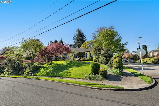 view of property hidden behind natural elements featuring a front lawn