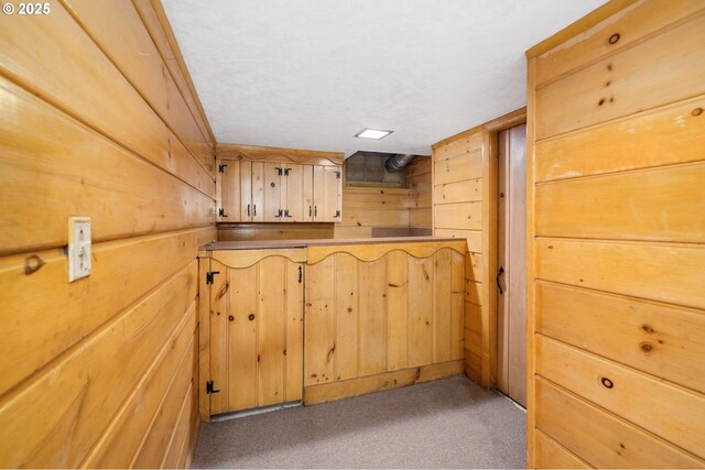 interior space with wood walls, carpet flooring, and bar