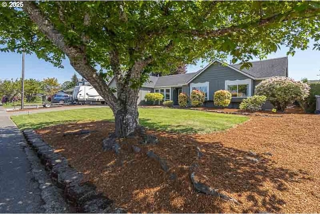 ranch-style house featuring a front yard