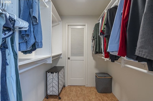 spacious closet featuring carpet