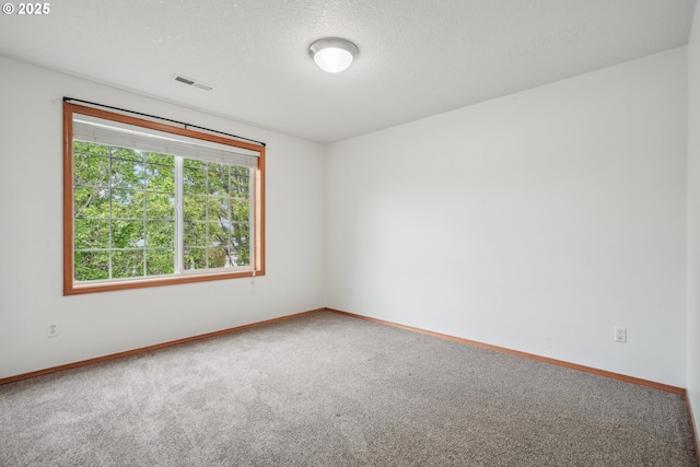 812 NW 13th Ave, Battle Ground, WA 98604 - carpeted empty room with baseboards and a textured ceiling