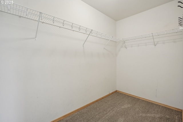 812 NW 13th Ave, Battle Ground, WA 98604 - walk in closet featuring carpet flooring