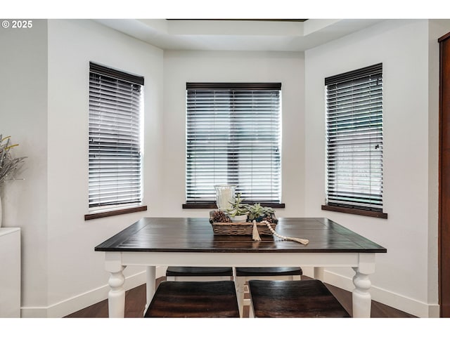 dining area featuring baseboards and a wealth of natural light
