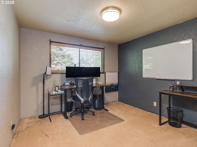 carpeted office featuring a textured wall and a textured ceiling
