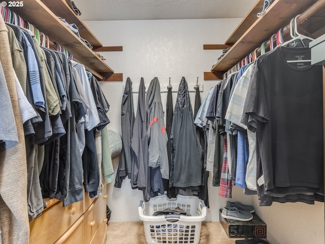 view of walk in closet