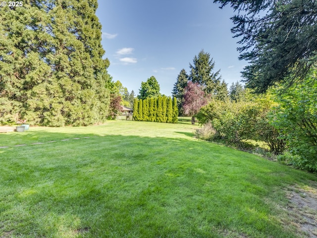 view of yard