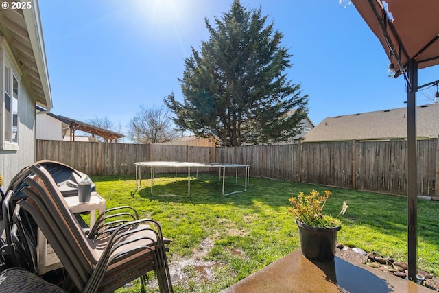 view of yard with a fenced backyard and a trampoline