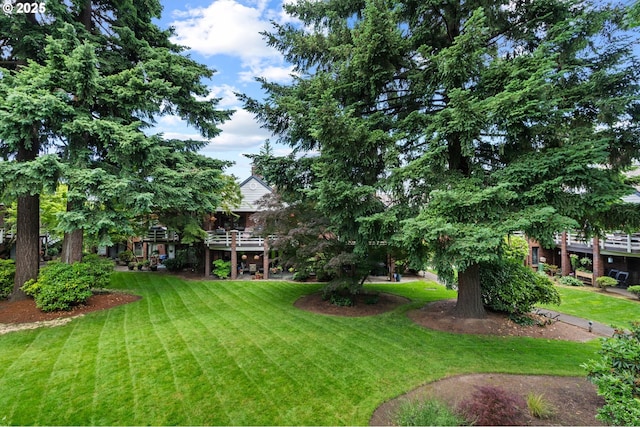 14935 NE Sacramento St Unit 28, Portland, OR 97230 - view of grassy yard