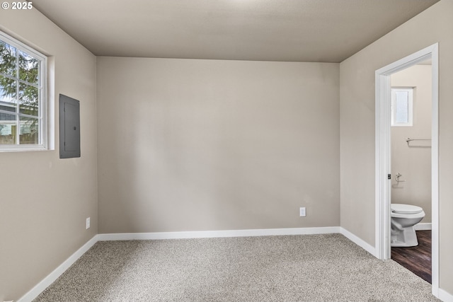 spare room with electric panel and carpet floors