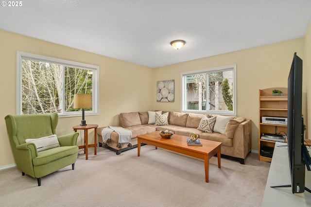 living room featuring baseboards and light carpet