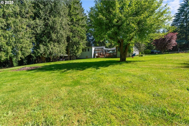 25465 S Beavercreek Rd, Beavercreek, OR 97004 - view of green lawn with view of wooded area