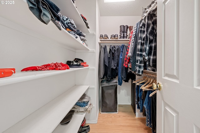 walk in closet featuring wood finished floors