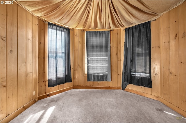 carpeted empty room featuring wood walls