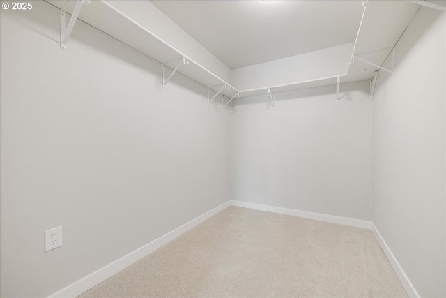 spacious closet featuring light colored carpet