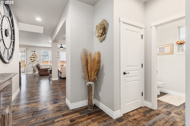 hallway with dark hardwood / wood-style floors