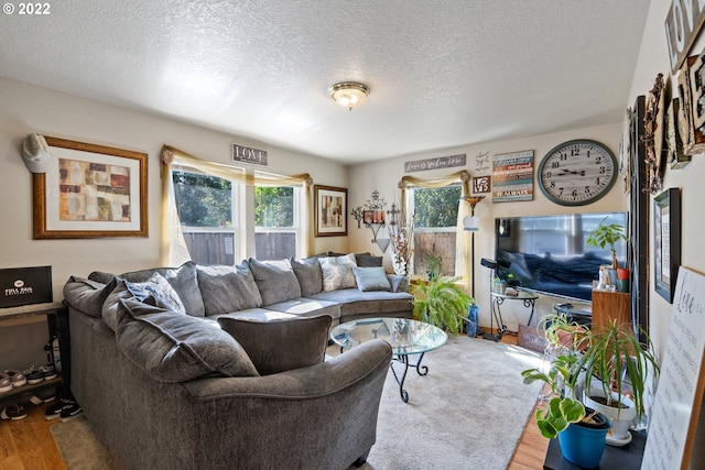 living room featuring hardwood / wood-style floors and a textured ceiling