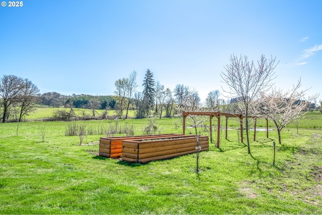 95787 Territorial Hwy, Monroe, OR 97456 - view of property's community featuring a yard and a view of rural / pastoral area
