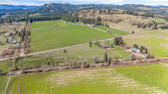 95787 Territorial Hwy, Monroe, OR 97456 - view of rural area with a mountainous background and a pastoral area
